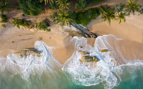 Sri Lanka - podróż wśród herbacianych pól (18).jpg